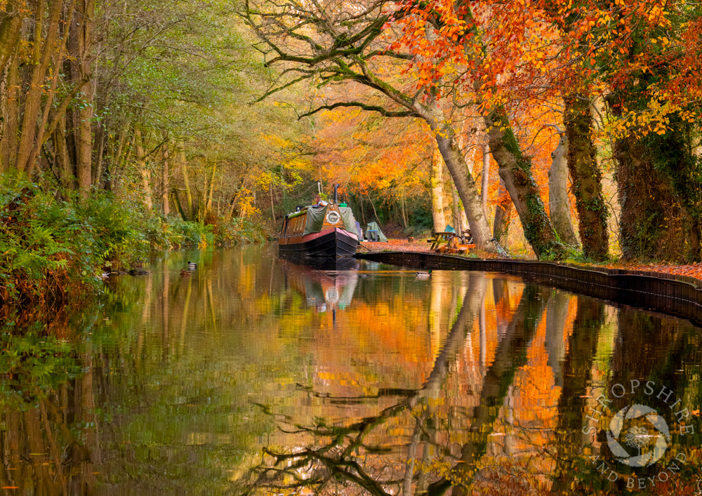 Autumn shades along the Llangollen Canal