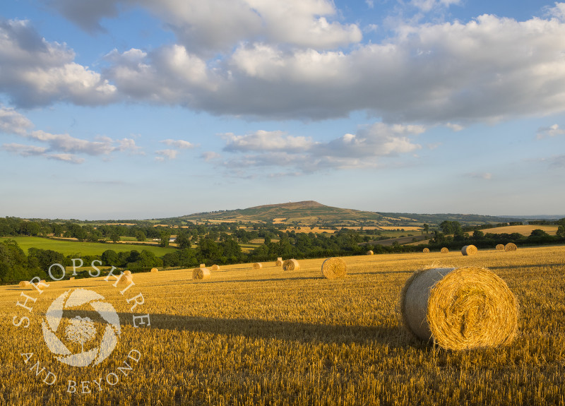 Straw bales at sunset on the slopes of Brown Clee with Titterstone Clee, Shropshire.