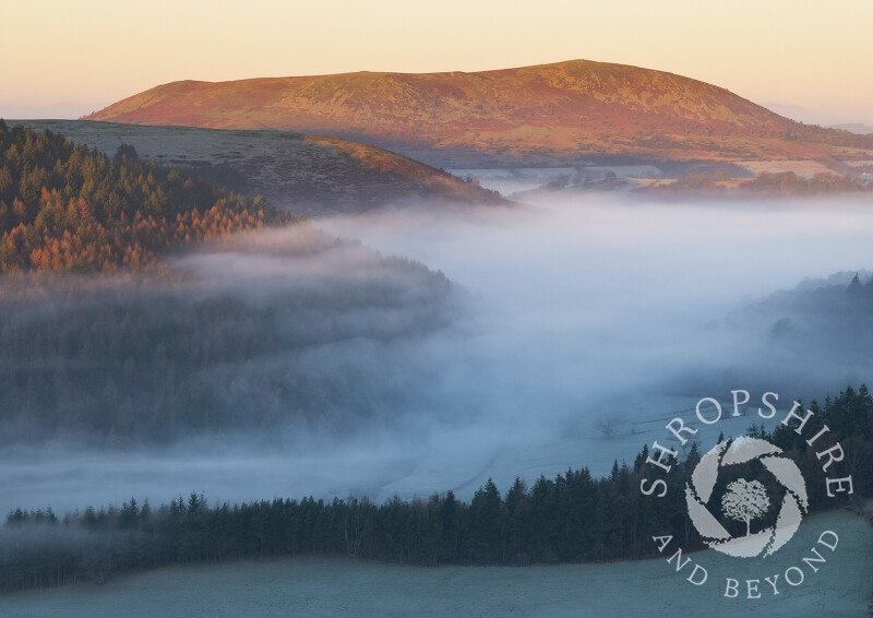 Corndon Hill at sunrise, seen from Linley Hill, Shropshire.
