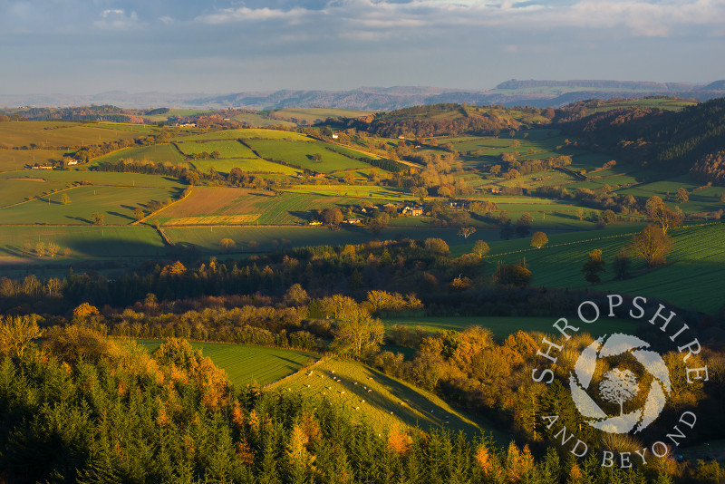 South Shropshire countryside in autumn seen from Bury Ditches Iron Age Hill Fort, Shropshire.