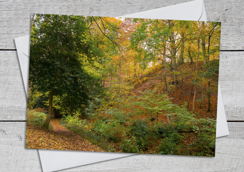 Autumn in Rectory Wood, Church Stretton, Shropshire.