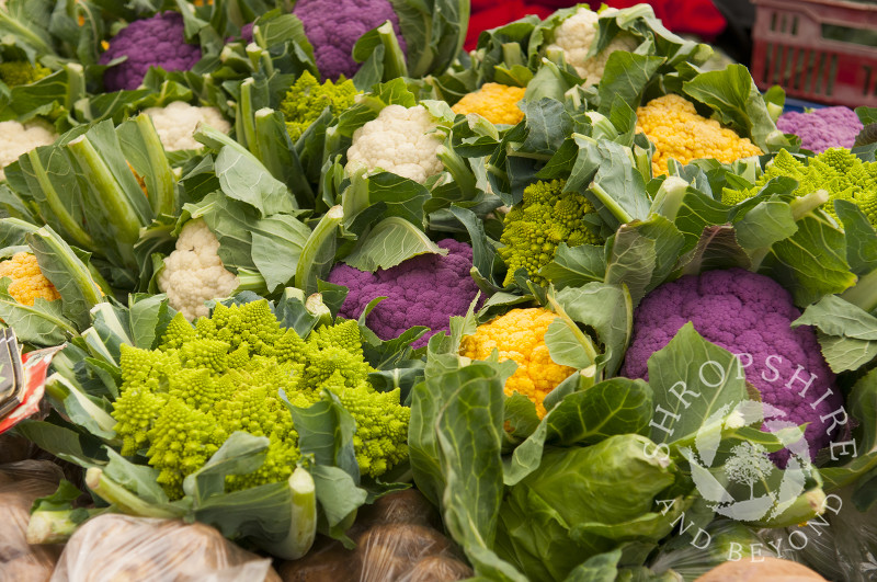 Romanesco and cauliflower on sale at Ludlow Food Festival, Shropshire, England.