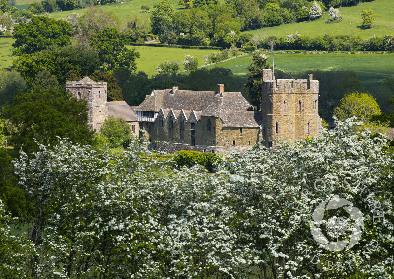 Stokesay Castle in Shropshire framed by hawthorn blossom.