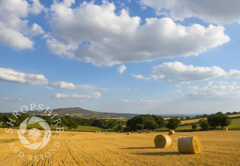 Straw bales on the slopes of Brown Clee with Titterstone Clee, Shropshire.