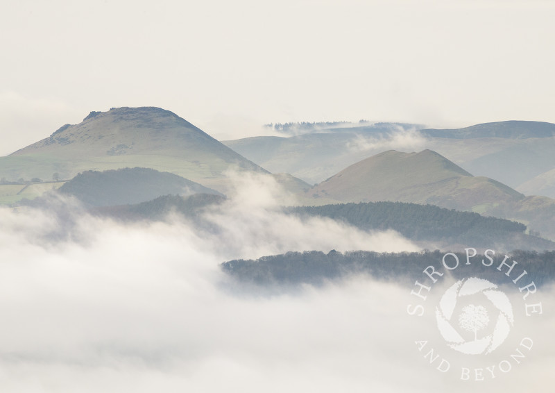 The Stretton Hills rising out of the mist, seen from the Wrekin, Shropshire.