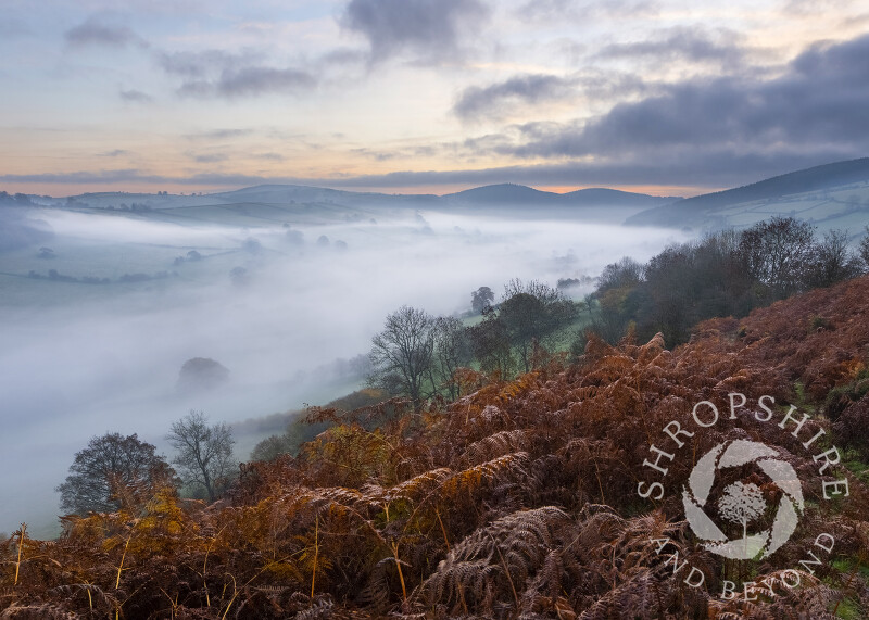 The Redlake Valley at Dawn in Shropshire, seen from Caer Caradoc.