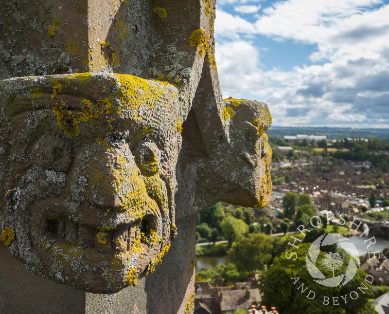 Lichen-covered stone carvings on the top of St Leonard's Church, Bridgnorth, Shropshire.