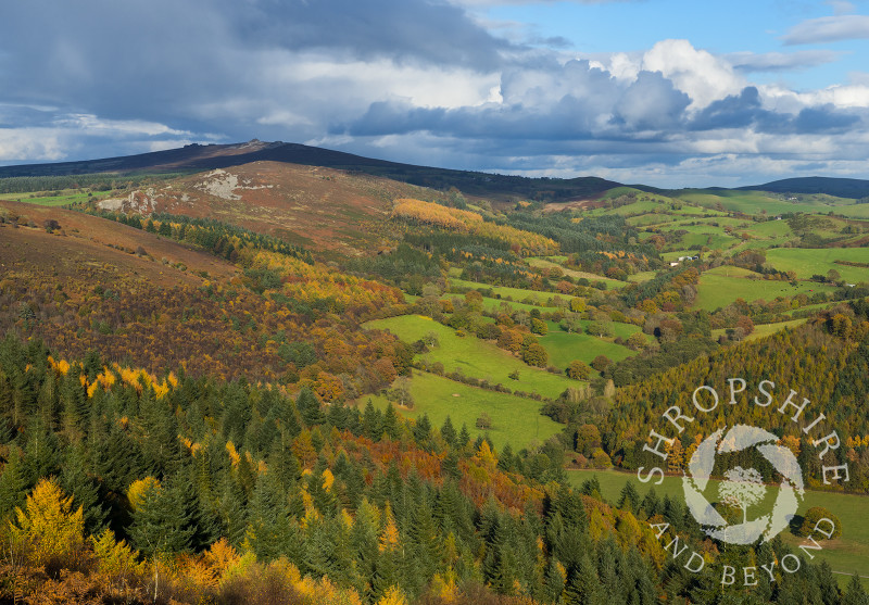 A view of the Shropshire countryside in autumn seen from Heath Mynd, with the Stiperstones on the horizon.