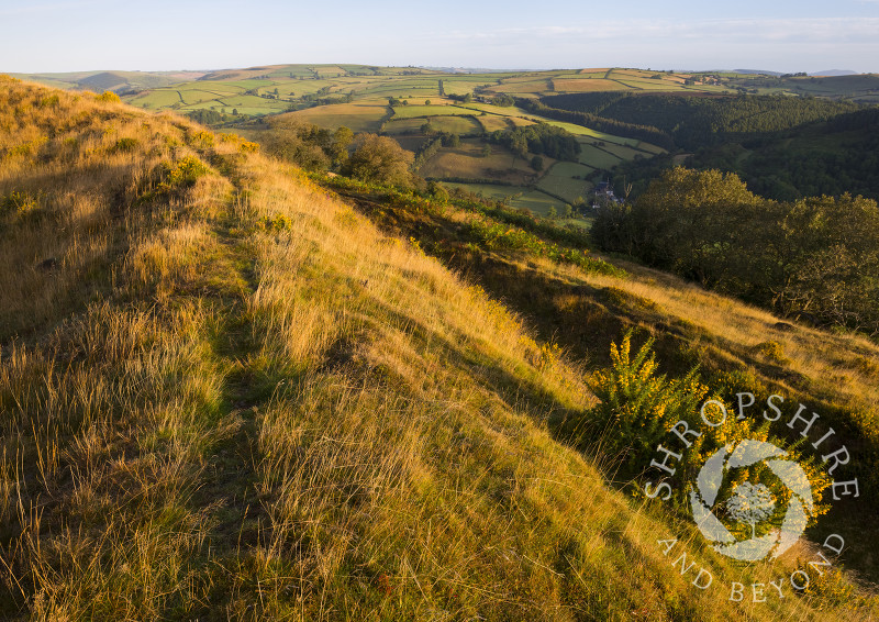 Early morning light on the remparts of Caer Caradoc, Redlake Valley, Shropshire.