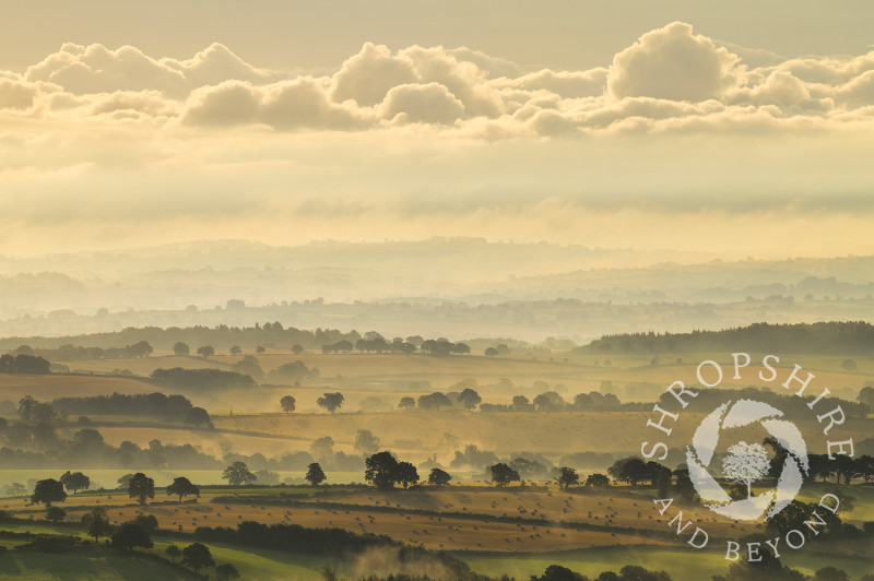 Early morning light on countryside near Cleobury North, seen from Brown Clee, Shropshire.
