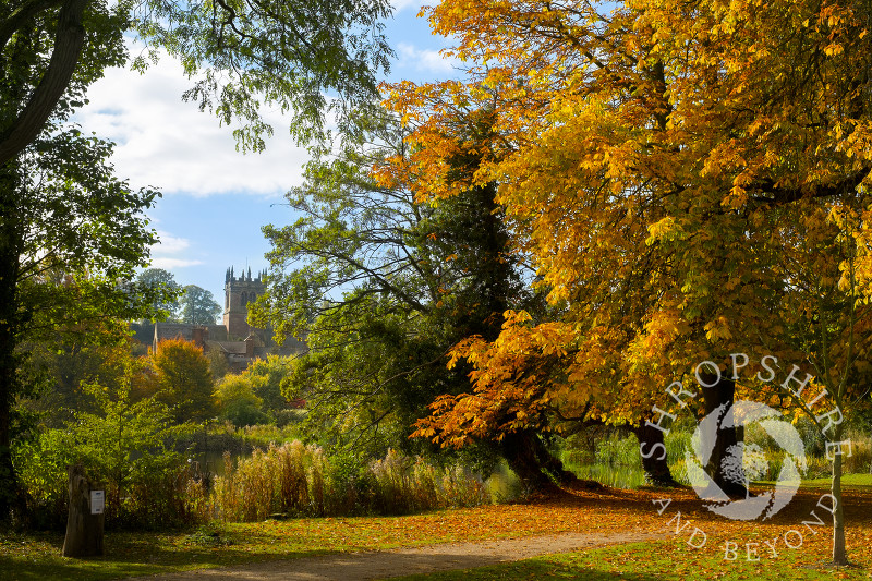 Autumn colour at Ellesmere, Shropshire, with a view of St Mary's Church.
