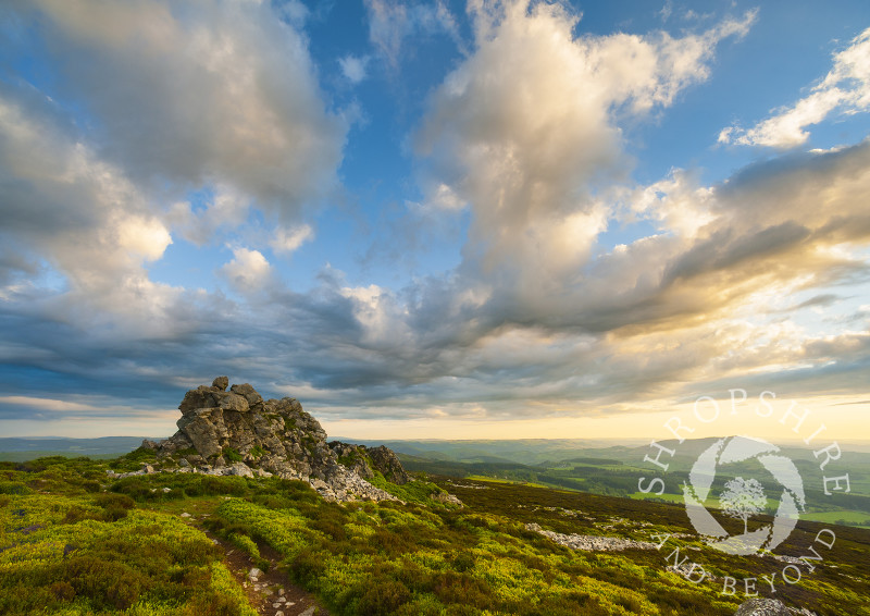Evening light steals across Cranberry Rock on the Stiperstones, Shropshire, England.