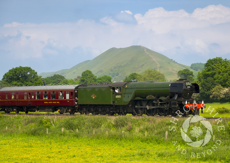 The Flying Scotsman pulls the Cathedrals Express past the Lawley in the Shropshire Hills near Church Stretton, Shropshire.