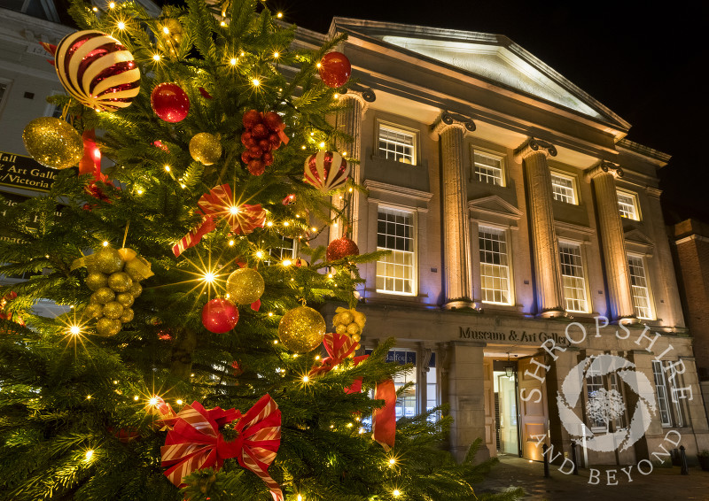 Christmas tree outside Shrewsbury Museum and Art Gallery, Shropshire.