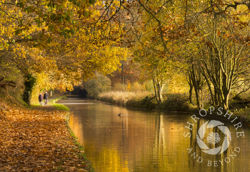 Autumn reflections on the Llangollen Canal at Ellesmere, Shropshire.