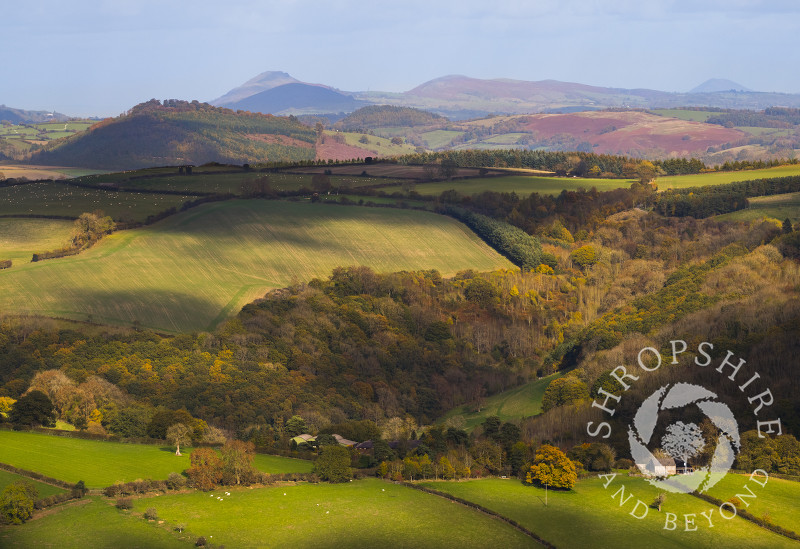 The view from Stow Hill, Shropshire - from left, Burrow Hill, Stretton Hills and the Wrekin.