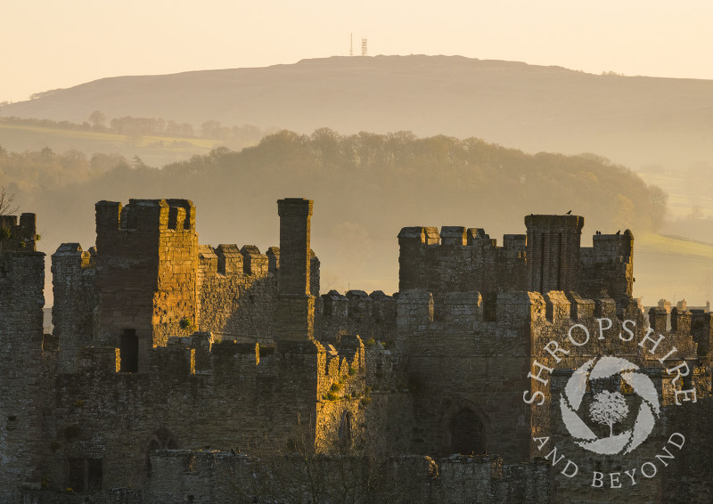 Early morning light on Ludlow Castle with Brown Clee, Shropshire.