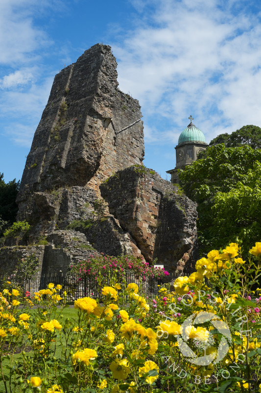 The castle ruins and the tower of St Mary's Church seen from Castle Gardens in Bridgnorth, Shropshire.