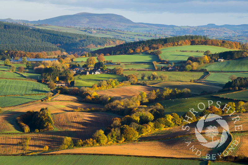 Fields at sunrise in the Clun Valley, Shropshire, with Corndon Hill and Bromlow Callow seen in the distance.
