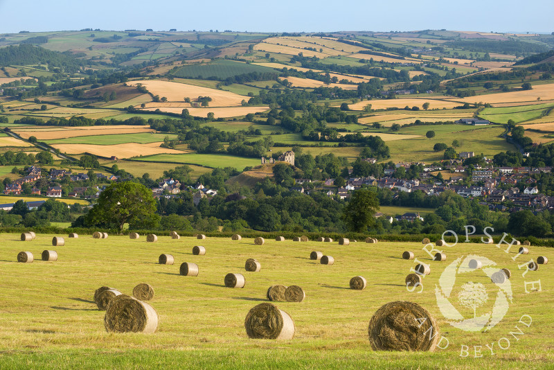 Field of hay bales above the town of Clun, Shropshire.