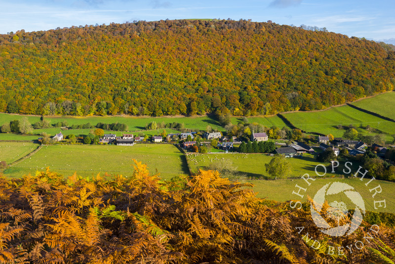 Autumn colour surrounds the village of Chapel Lawn, near Clun, in Shropshire.