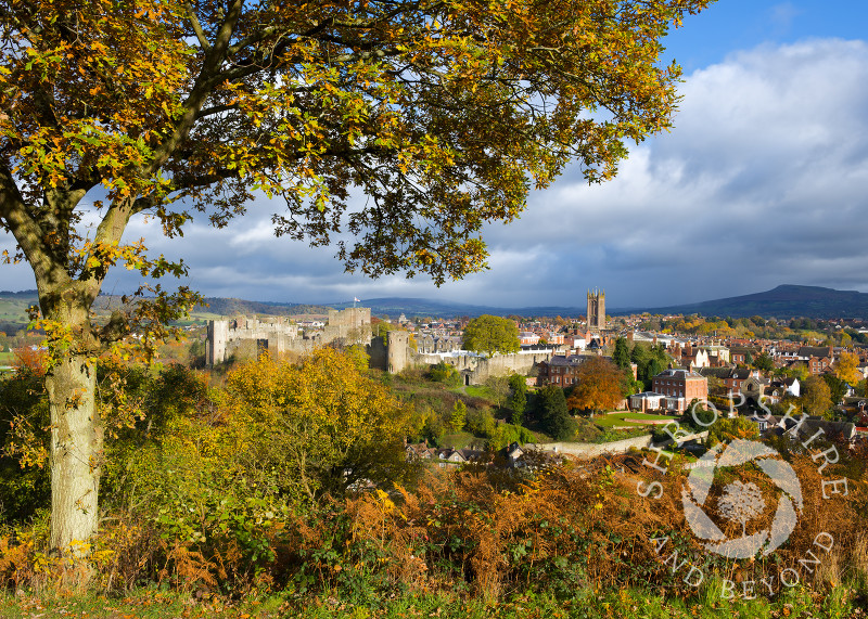 The market town of Ludlow in autumn, seen from Whitcliffe Common, Shropshire, England.