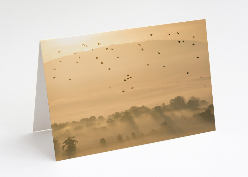 The Wrekin and birds in flight seen from Haughmond Hill, Shropshire.