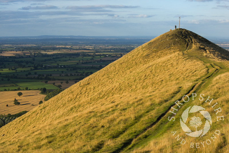 Walkers and their dogs on the summit of the Lawley, Shropshire.