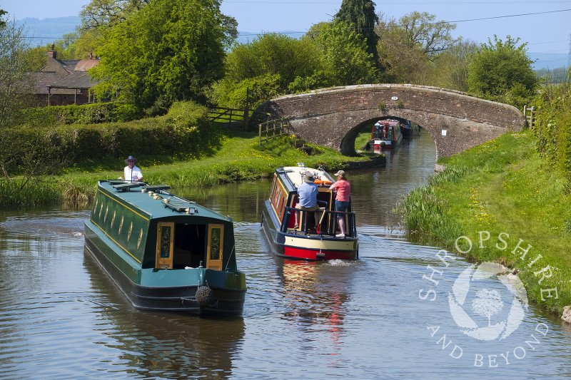 Canal boats on the Llangollen Canal at Lower Frankton, Shropshire.