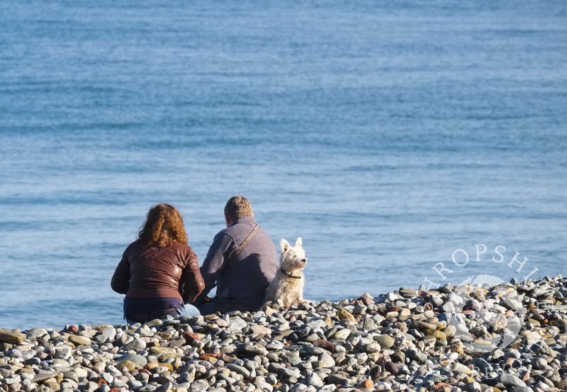 A man, woman and dog sit on the beach at Llandudno, Conwy, Wales.