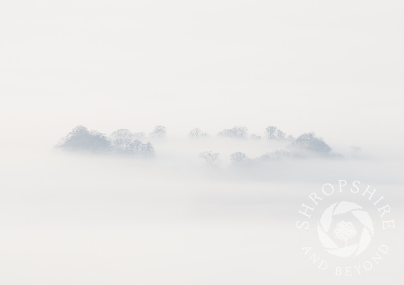 Mist swirls around Caynham Camp, an Iron Age hill fort near Ludlow in Shropshire.