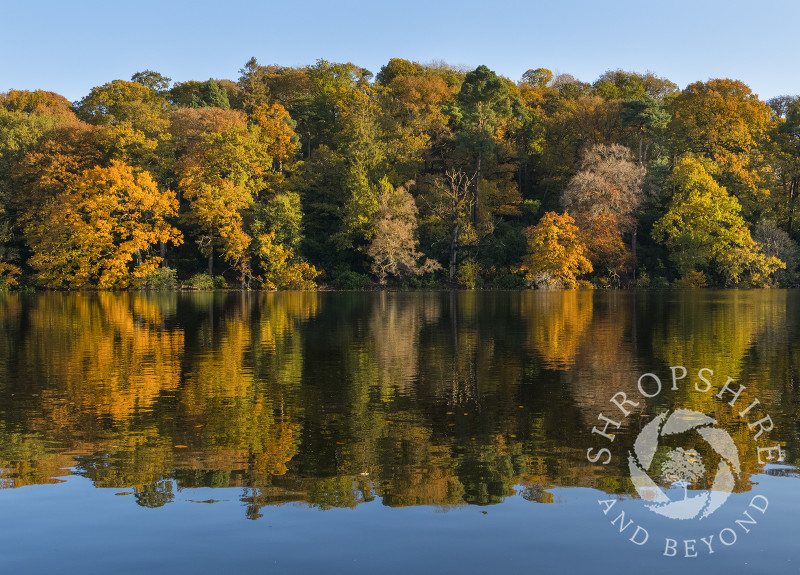 Autumn colour reflected in Blake Mere, near Ellesmere, Shropshire.