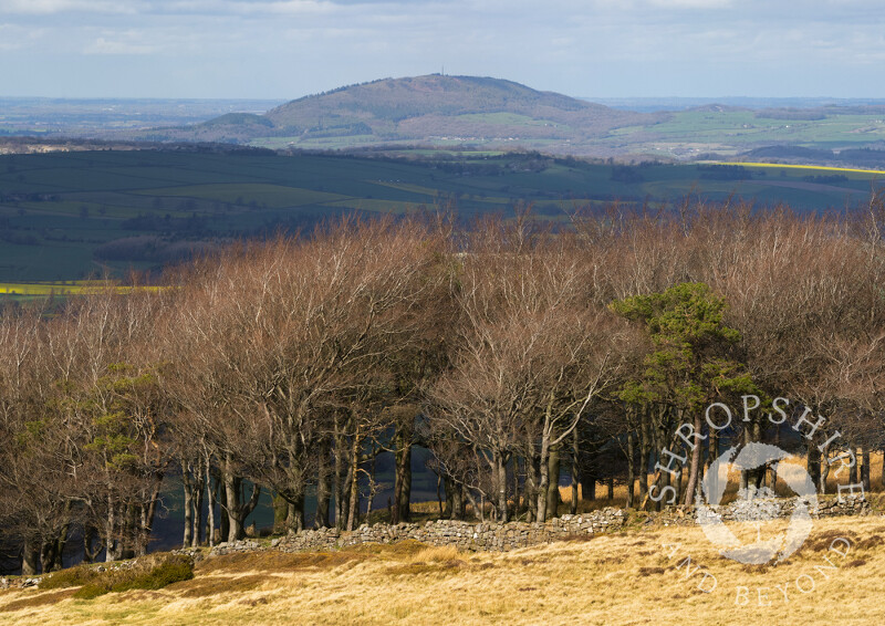 The Wrekin seen from Brown Clee Hill, Shropshire.