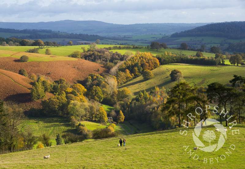Walkers descend from Burrow Hill, near the village of Hopesay, south Shropshire.