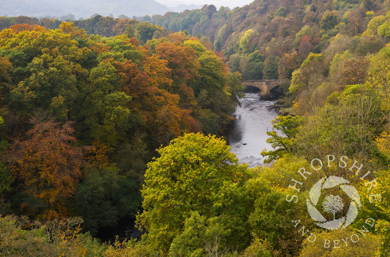 The River Dee winds through autumnal woodland seen from Pontcysyllte Aqueduct, near Wrexham, Wales.