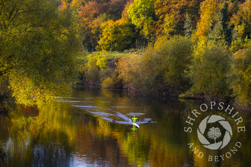 A solitary rower amid autumn colours on the River Severn near the Quarry in Shrewsbury, Shropshire.
