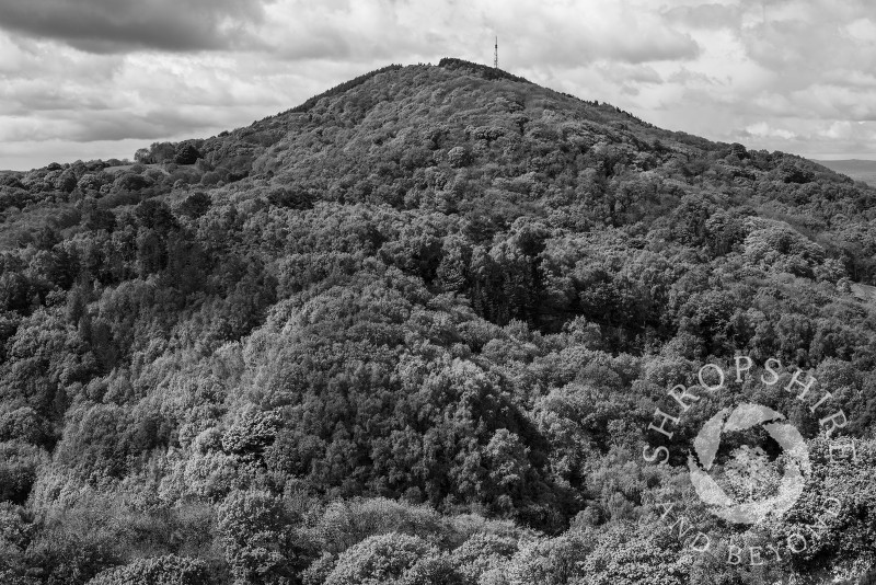 Black and white study of the Wrekin seen from the Ercall, Shropshire, England.