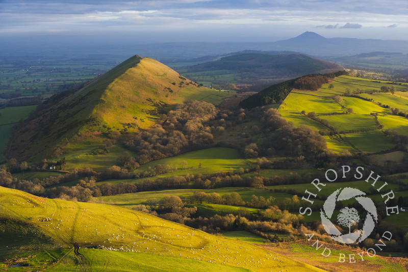The Lawley seen from Caer Caradoc, with the Wrekin on the horizon, Shropshire.