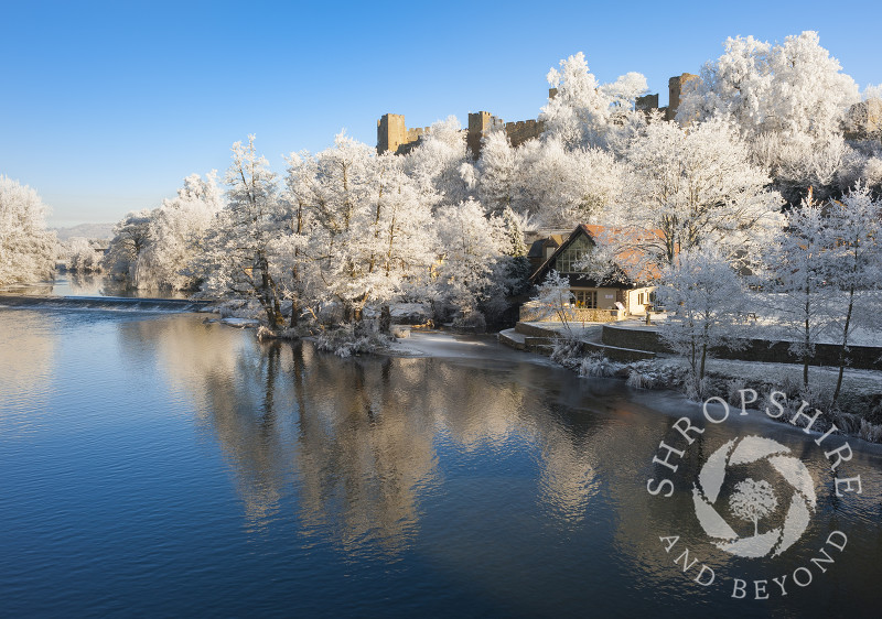 Ludlow Castle and trees covered in hoar frost reflected in the River Teme at Ludlow, Shropshire.