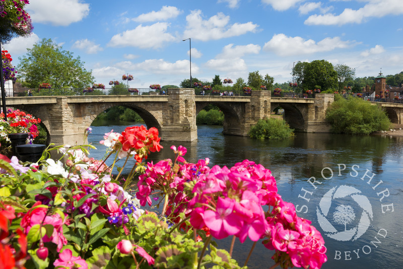 Flowers on Quayside beside the River Severn at Bridgnorth, Shropshire.
