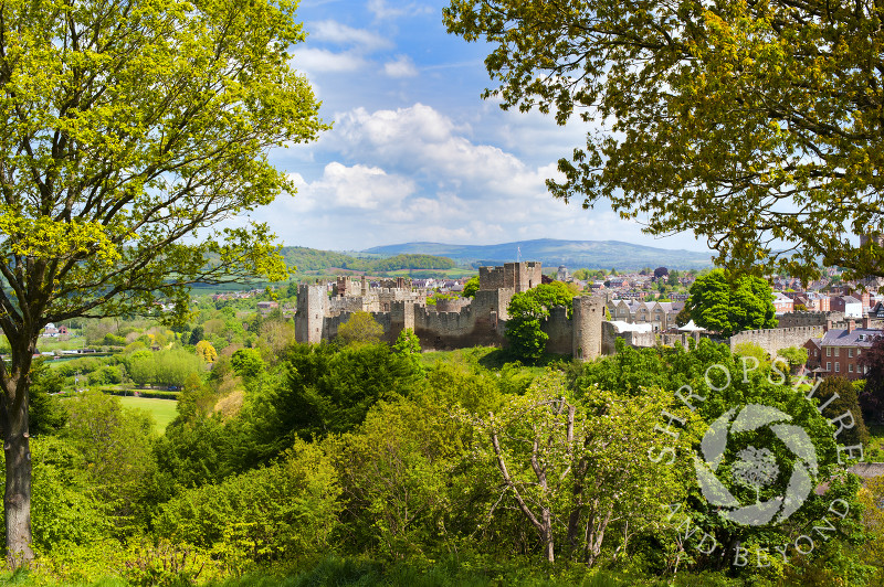 Springtime on Whitcliffe Common overlooking the market town of Ludlow, Shropshire, England.