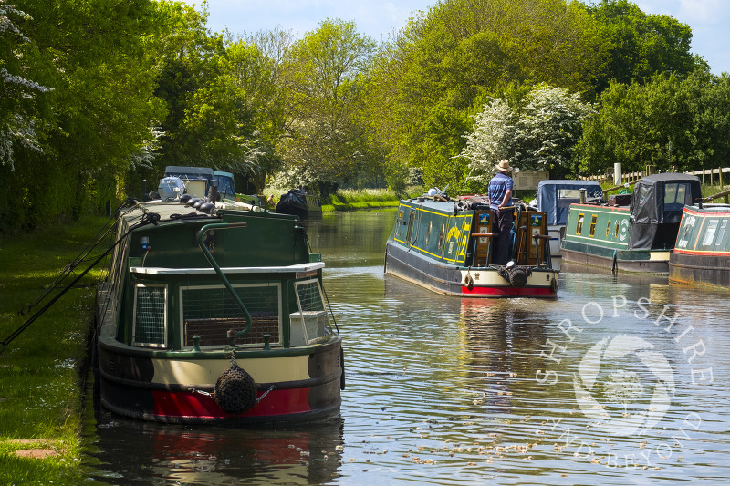 Narrowboats on the Shropshire Union Canal near Goldstone Wharf, Cheswardine, Shropshire.