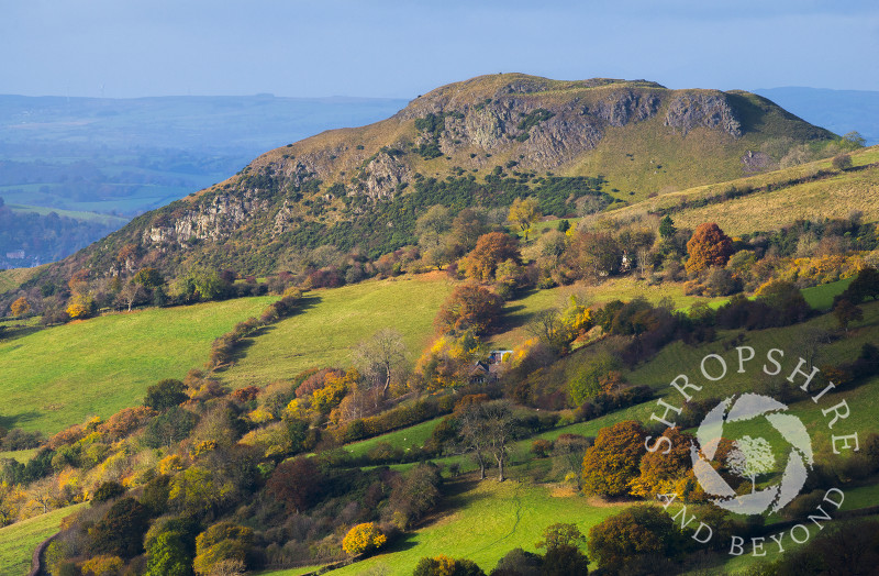 Roundton Hill, in Powys, Wales, seen from Heath Mynd, Shropshire, England.