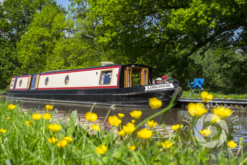Springtime on the Llangollen Canal at Whitchurch, North Shropshire.