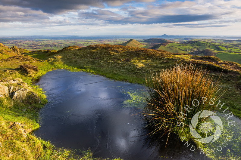 Early morning light picks out a frozen pool on the summit of Caer Caradoc, Shropshire.
