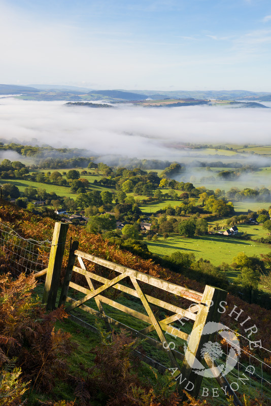 South Shropshire countryside under a blanket of mist, seen from the Long Mynd, England.