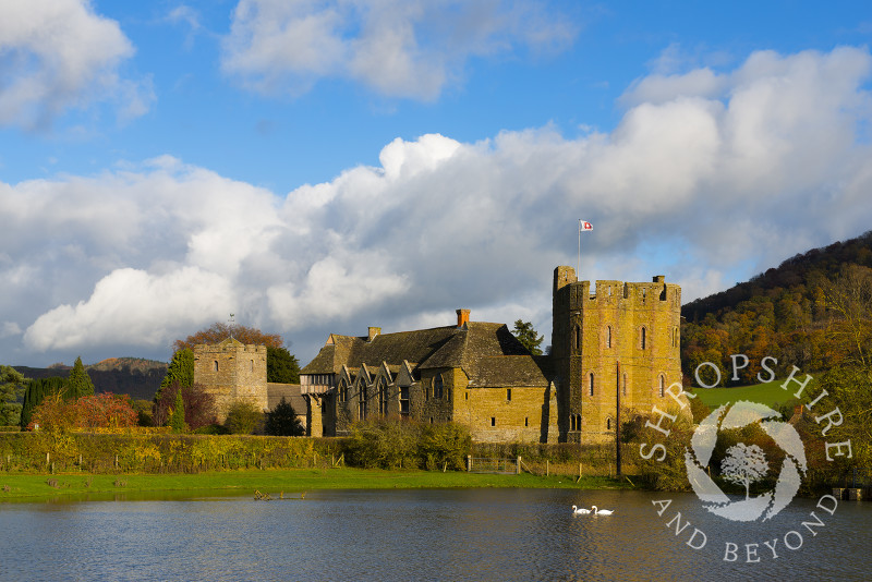 Swans glide past Stokesay Castle and the Church of St John the Baptist in autumn, Shropshire.