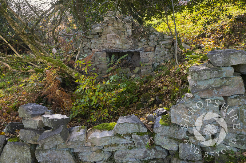 The remains of a dwelling at Brook Vessons Nature Reserve, Shropshire