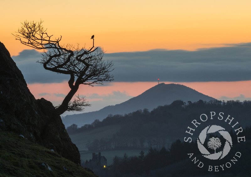 Dawn breaks over the Wrekin, seen from the slopes of the Lawley in the Shropshire Hills.