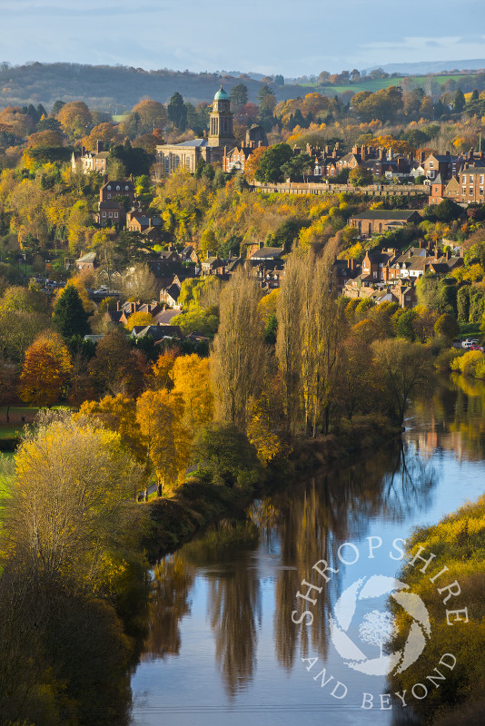 Early morning light picks out autumn colours at Bridgnorth and the River Severn, Shropshire, seen from High Rock.